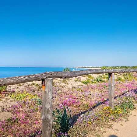 Casa Tulipano 1